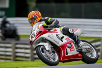 PJ-Motorsport-2019;anglesey;brands-hatch;cadwell-park;croft;donington-park;enduro-digital-images;event-digital-images;eventdigitalimages;mallory;no-limits;oulton-park;peter-wileman-photography;racing-digital-images;silverstone;snetterton;trackday-digital-images;trackday-photos;vmcc-banbury-run;welsh-2-day-enduro